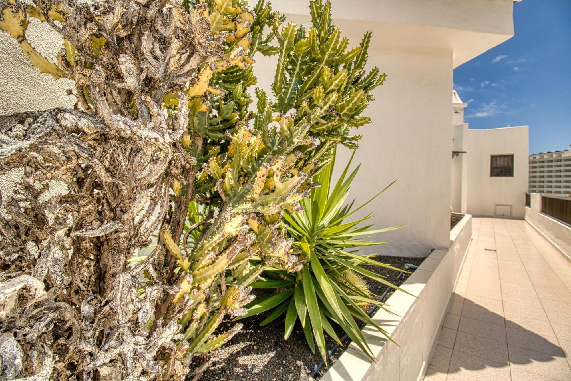 Penthouse Sea View Jacuzzy Terrace & Pool Apartment Playa Fanabe Ngoại thất bức ảnh