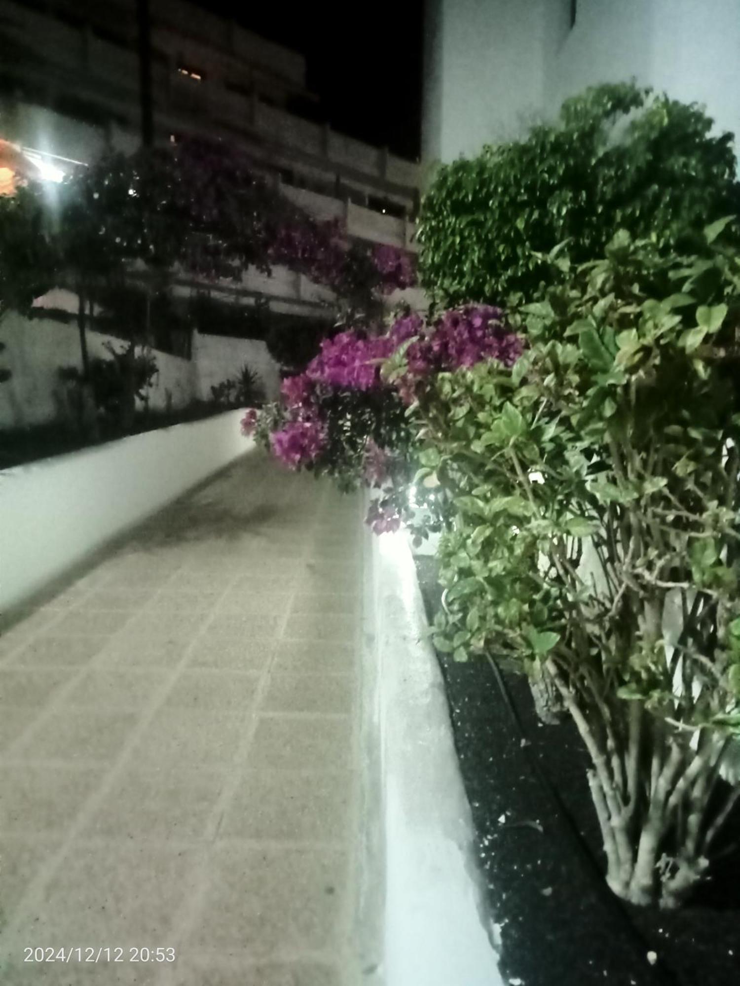 Penthouse Sea View Jacuzzy Terrace & Pool Apartment Playa Fanabe Ngoại thất bức ảnh